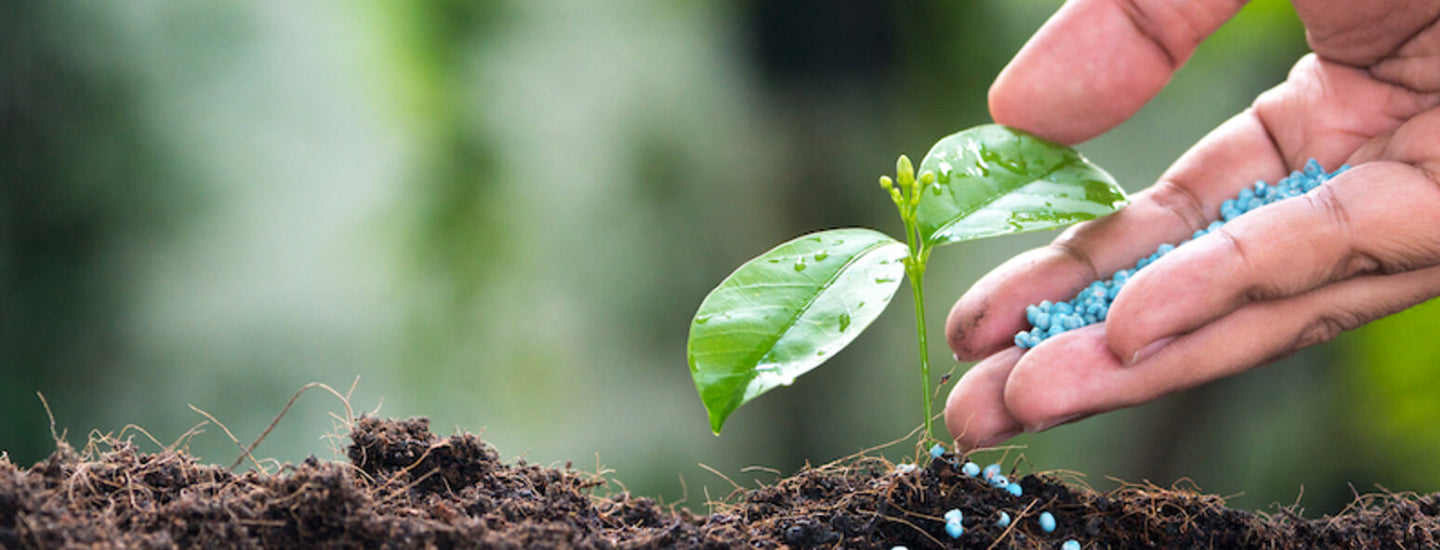 FERTILIZERS AND MICRONUTRIENTS