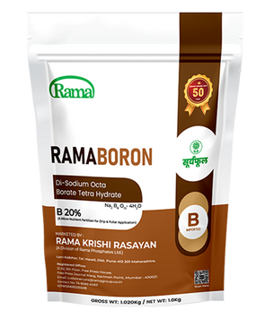 RAMA BORON